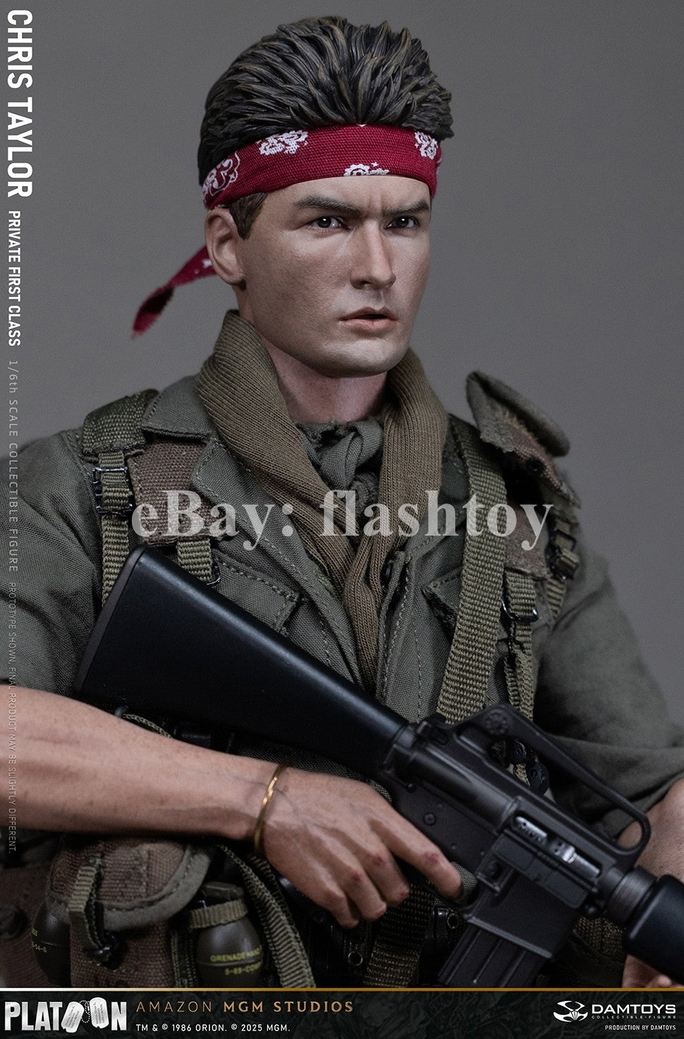 Presale DAMTOYS DMS046 1/6 Platoon Chris Taylor 12" Male Action Figure Model Toy