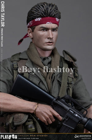 Presale DAMTOYS DMS046 1/6 Platoon Chris Taylor 12" Male Action Figure Model Toy