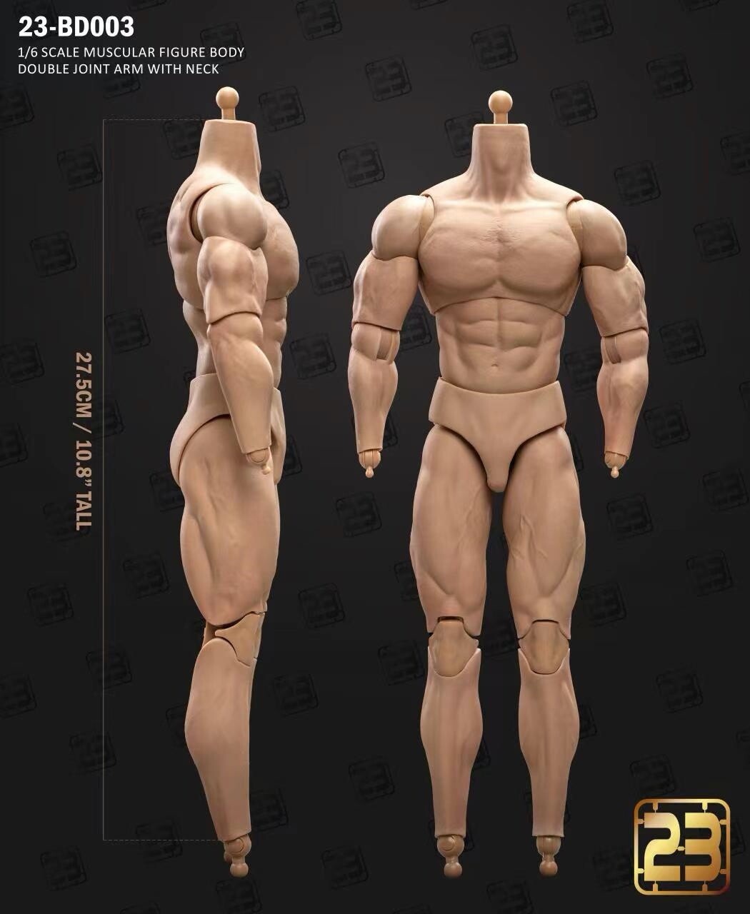 23Toys 23-BD003 1/6 Muscular Male Action Figure Body For 12" Hot Toy Head