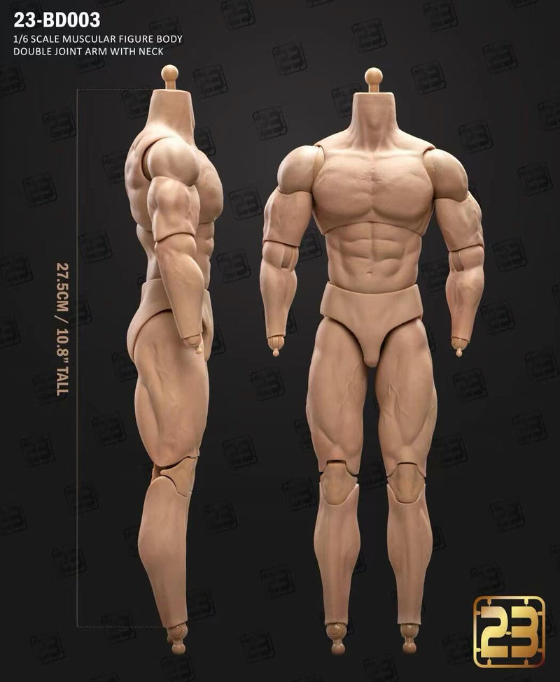 23Toys 23-BD003 1/6 Muscular Male Action Figure Body For 12" Hot Toy Head