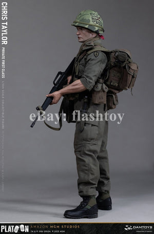Presale DAMTOYS DMS046 1/6 Platoon Chris Taylor 12" Male Action Figure Model Toy