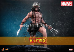 Preventa Hot Toys CMS034 1/6 Marvel Comics Weapon X Logan modelo de figura de acción