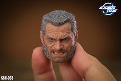 SOOSOOTOYS SSH-003 1/6 X Men Wolverine Old Logan cabeza esculpida fit 12" cuerpo de figura