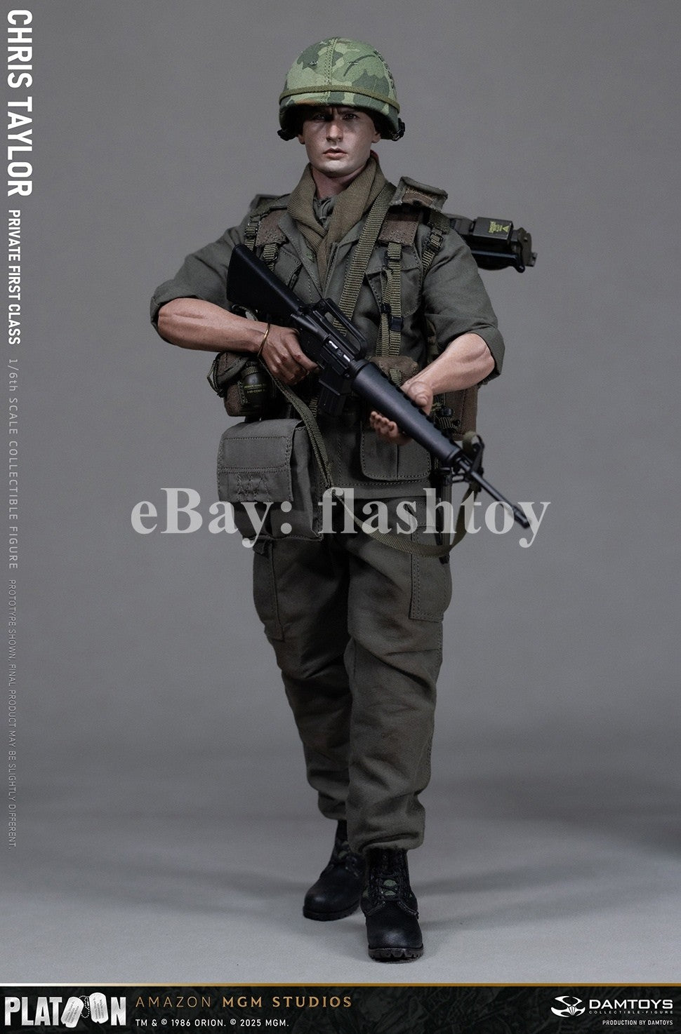 Presale DAMTOYS DMS046 1/6 Platoon Chris Taylor 12" Male Action Figure Model Toy