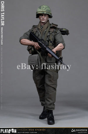Presale DAMTOYS DMS046 1/6 Platoon Chris Taylor 12" Male Action Figure Model Toy