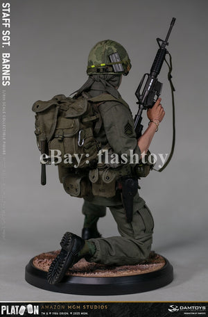 Presale DAMTOYS DMS045 1/6 Platoon Staff Sergeant Barnes Action Figure Model Toy