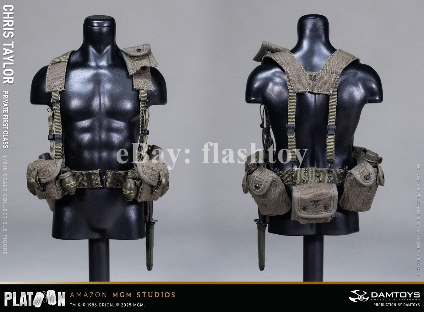 Presale DAMTOYS DMS046 1/6 Platoon Chris Taylor 12" Male Action Figure Model Toy