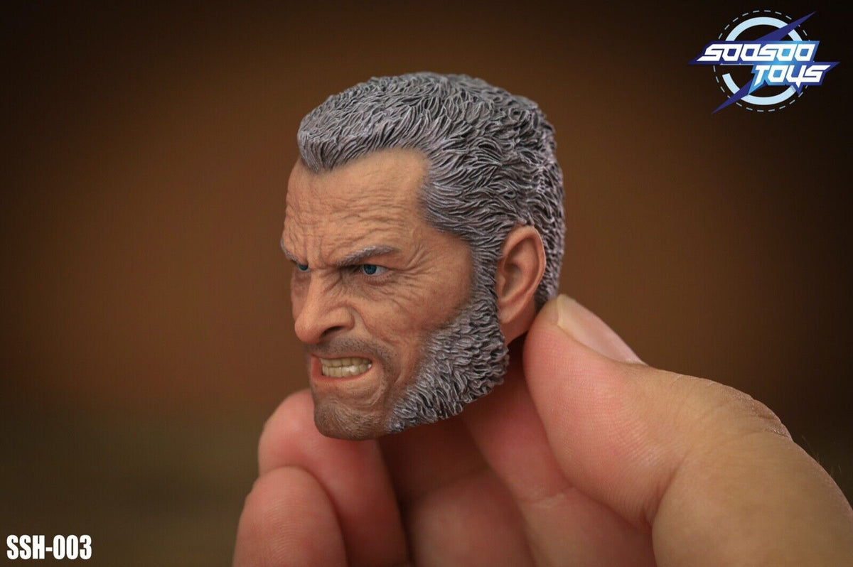 SOOSOOTOYS SSH-003 1/6 X Men Wolverine Old Logan Head Sculpt fit 12" Figure Body