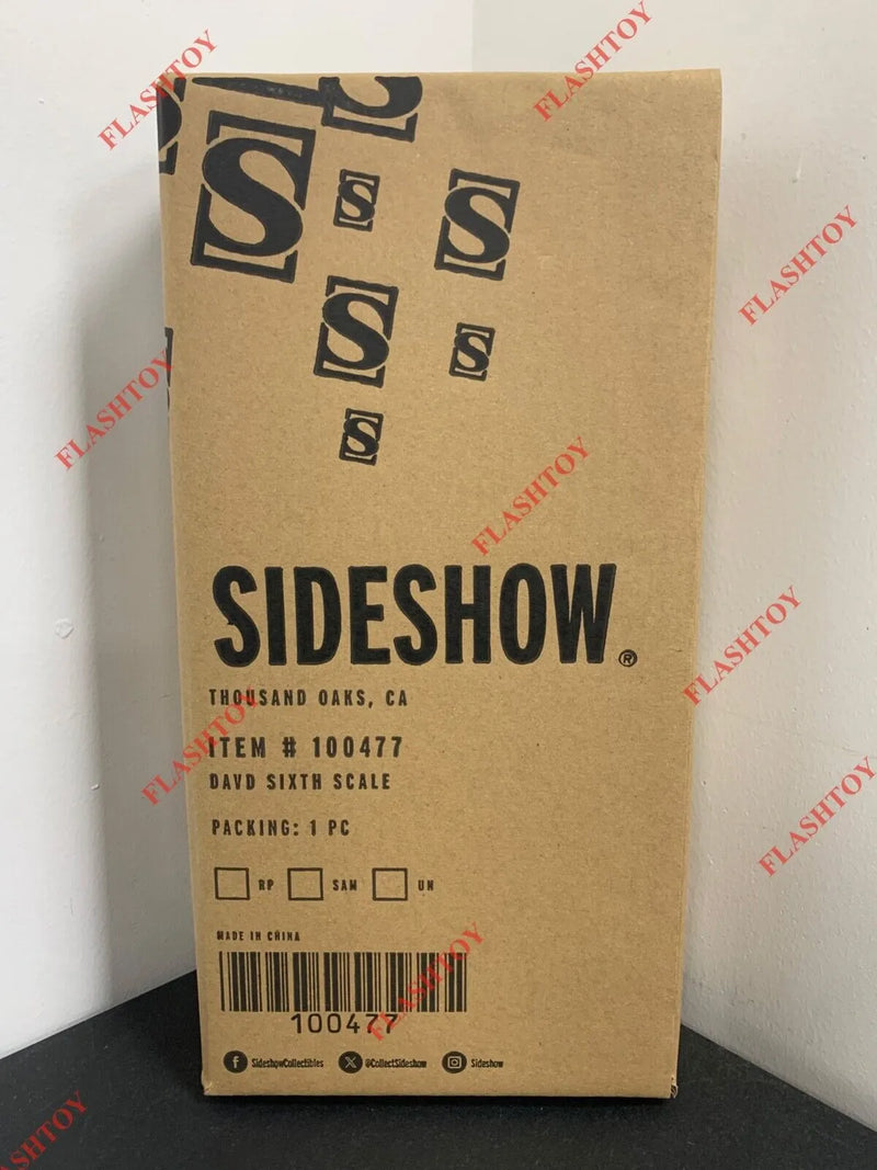 Sideshow 100477 1/6 The Lost Boys David Collectible Male Action Figure Model Toy