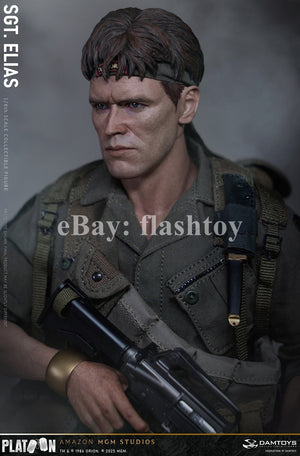 Presale DAMTOYS DMS047 1/6 Platoon Sergeant Elias 12" Male Action Figure Model