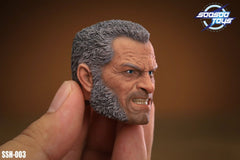 SOOSOOTOYS SSH-003 1/6 X Men Wolverine Old Logan cabeza esculpida fit 12" cuerpo de figura