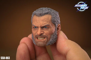 SOOSOOTOYS SSH-003 1/6 X Men Wolverine Old Logan Head Sculpt fit 12" Figure Body