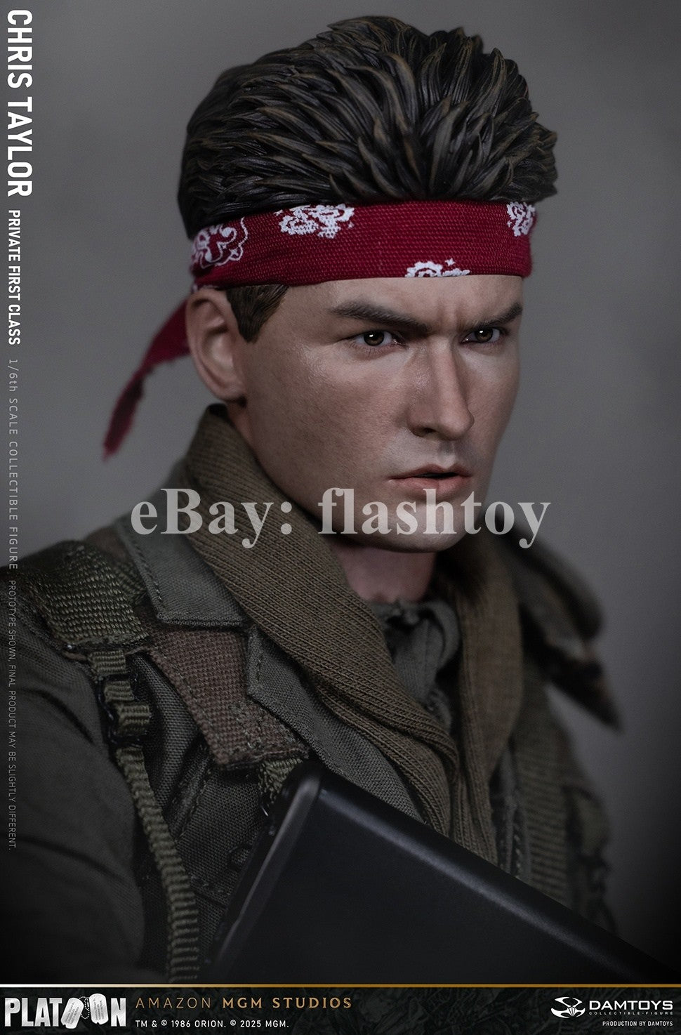 Presale DAMTOYS DMS046 1/6 Platoon Chris Taylor 12" Male Action Figure Model Toy
