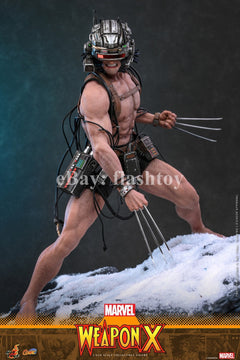 Preventa Hot Toys CMS034 1/6 Marvel Comics Weapon X Logan modelo de figura de acción