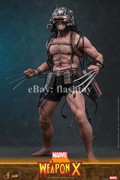 Preventa Hot Toys CMS034 1/6 Marvel Comics Weapon X Logan modelo de figura de acción