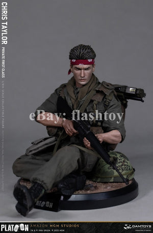 Presale DAMTOYS DMS046 1/6 Platoon Chris Taylor 12" Male Action Figure Model Toy