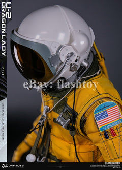 Preventa DAMTOYS 78110 1/6 U-2 Dragon Lady Pilot 12" figura de acción masculina de colección