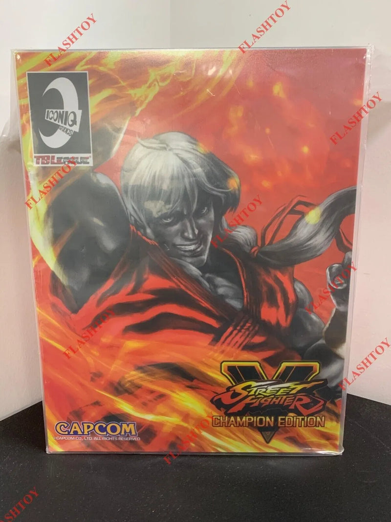 Iconiq Studio IQGS-04 1/6 Street Fighter Ken 12" Male Action Figure Model Toy