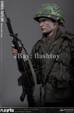 Preventa DAMTOYS DMS046 1/6 Platoon Chris Taylor 12" figura de acción masculina de colección