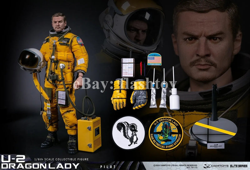 Presale DAMTOYS 78110 1/6 U-2 Dragon Lady Pilot 12" Male Action Figure Model Toy
