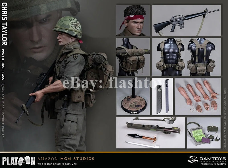 Presale DAMTOYS DMS046 1/6 Platoon Chris Taylor 12" Male Action Figure Model Toy