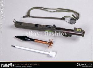 Presale DAMTOYS DMS046 1/6 Platoon Chris Taylor 12" Male Action Figure Model Toy