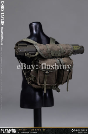 Presale DAMTOYS DMS046 1/6 Platoon Chris Taylor 12" Male Action Figure Model Toy