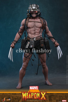 Preventa Hot Toys CMS034 1/6 Marvel Comics Weapon X Logan modelo de figura de acción