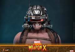 Preventa Hot Toys CMS034 1/6 Marvel Comics Weapon X Logan modelo de figura de acción