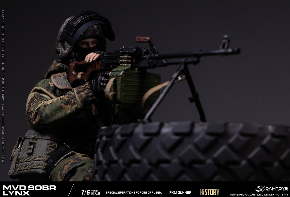 Vorverkauf DAMTOYS 78115 1/6 Russische Spezialeinheit MWD SOBR Luchs PKM Schütze Actionfigur