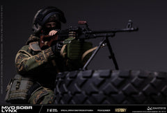 Vorverkauf DAMTOYS 78115 1/6 Russische Spezialeinheit MWD SOBR Luchs PKM Schütze Actionfigur