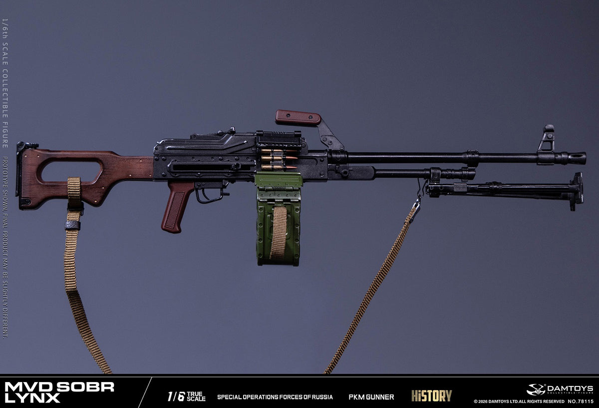 Vorverkauf DAMTOYS 78115 1/6 Russische Spezialeinheit MWD SOBR Luchs PKM Schütze Actionfigur
