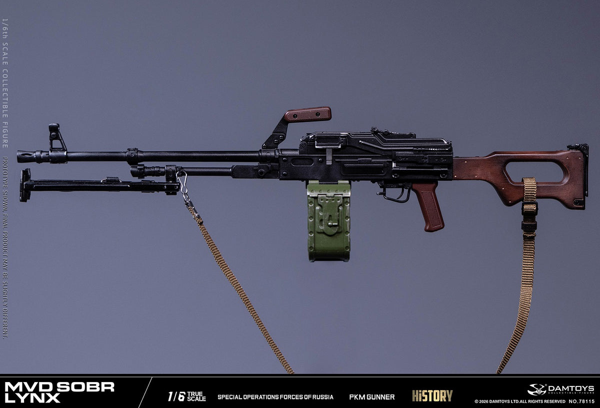 Vorverkauf DAMTOYS 78115 1/6 Russische Spezialeinheit MWD SOBR Luchs PKM Schütze Actionfigur