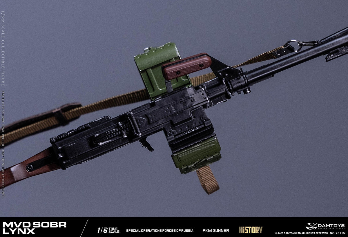Vorverkauf DAMTOYS 78115 1/6 Russische Spezialeinheit MWD SOBR Luchs PKM Schütze Actionfigur