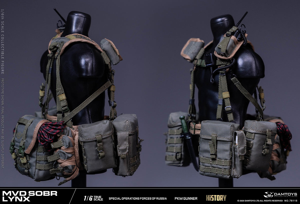 Vorverkauf DAMTOYS 78115 1/6 Russische Spezialeinheit MWD SOBR Luchs PKM Schütze Actionfigur