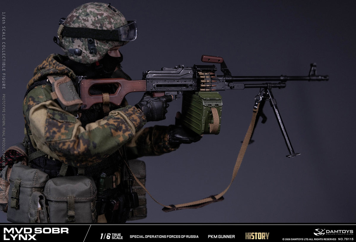 Vorverkauf DAMTOYS 78115 1/6 Russische Spezialeinheit MWD SOBR Luchs PKM Schütze Actionfigur