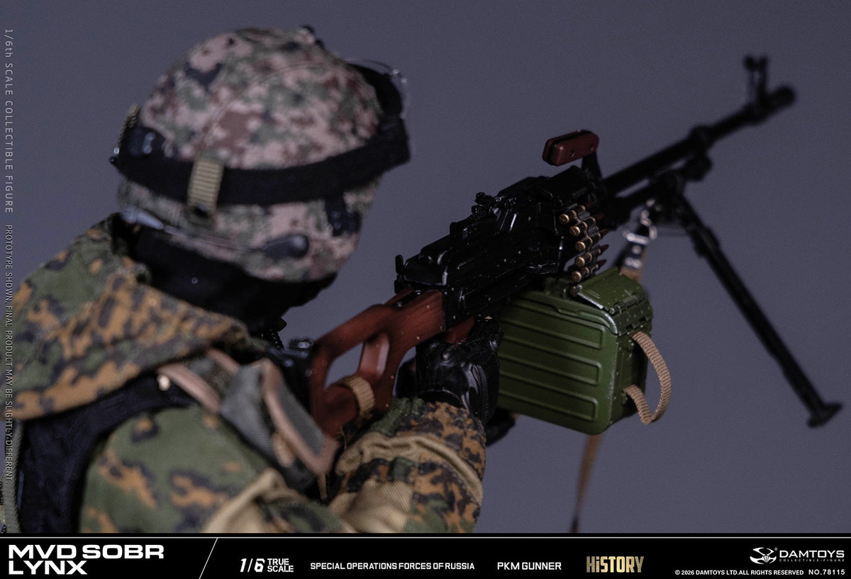 Vorverkauf DAMTOYS 78115 1/6 Russische Spezialeinheit MWD SOBR Luchs PKM Schütze Actionfigur