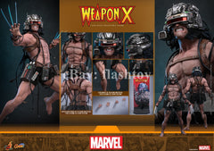 Preventa Hot Toys CMS034 1/6 Marvel Comics Weapon X Logan modelo de figura de acción
