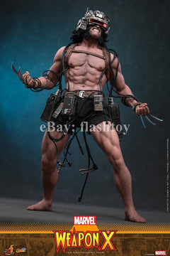 Preventa Hot Toys CMS034 1/6 Marvel Comics Weapon X Logan modelo de figura de acción