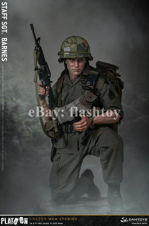 Presale DAMTOYS DMS045 1/6 Platoon Staff Sergeant Barnes Action Figure Model Toy