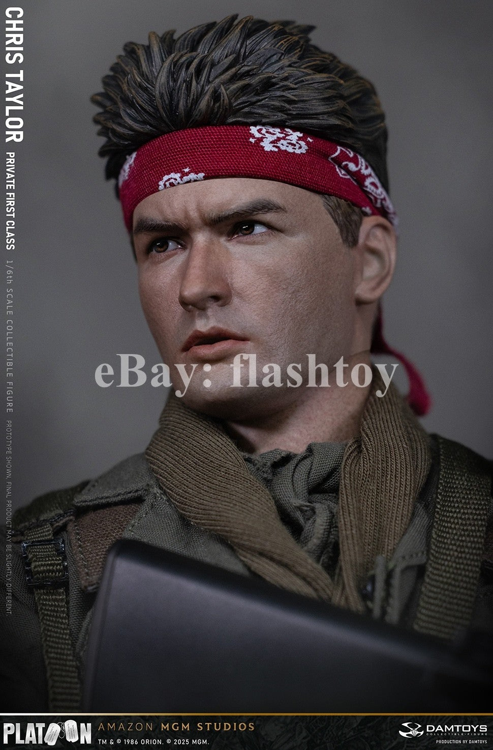 Presale DAMTOYS DMS046 1/6 Platoon Chris Taylor 12" Male Action Figure Model Toy