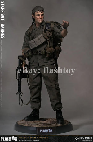 Presale DAMTOYS DMS045 1/6 Platoon Staff Sergeant Barnes Action Figure Model Toy
