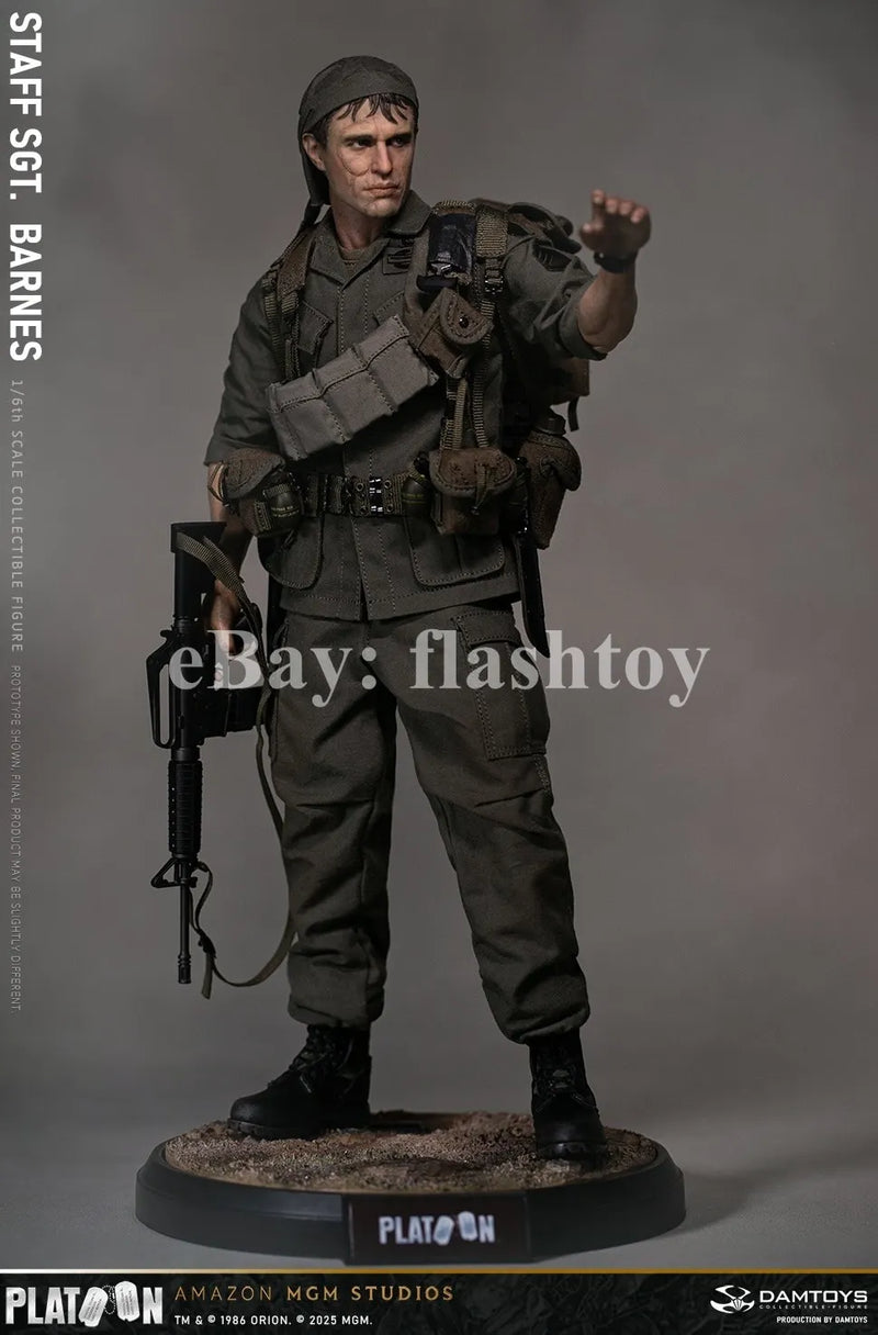 Presale DAMTOYS DMS045 1/6 Platoon Staff Sergeant Barnes Action Figure Model Toy