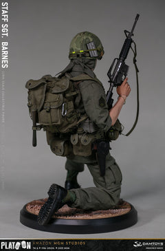 Presale DAMTOYS DMS045 1/6 Platoon Staff Sergeant Barnes Action Figure Model Toy