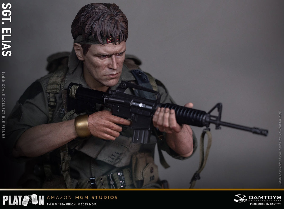 Presale DAMTOYS DMS047 1/6 Platoon Sergeant Elias 12" Male Action Figure Model