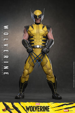 Vorverkauf Hot Toys VGM91 1/6 Marvel’s Wolverine Logan Sammelfigur