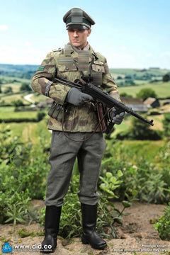 Presale DID D80196 1/6 WWII German GD Infantry Officer Jakob Action Figure Model
