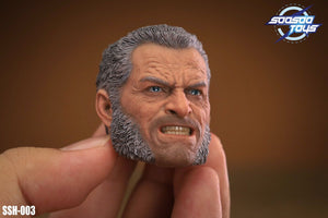 SOOSOOTOYS SSH-003 1/6 X Men Wolverine Old Logan Head Sculpt fit 12" Figure Body