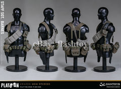Preventa DAMTOYS DMS045 1/6 Platoon Staff Sergeant Barnes modelo de figura de acción