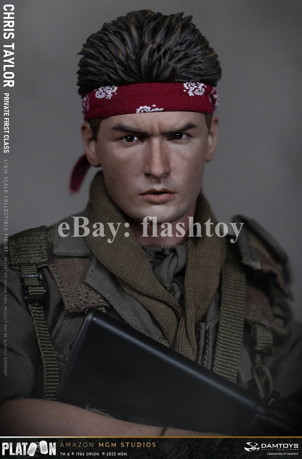 Presale DAMTOYS DMS046 1/6 Platoon Chris Taylor 12" Male Action Figure Model Toy